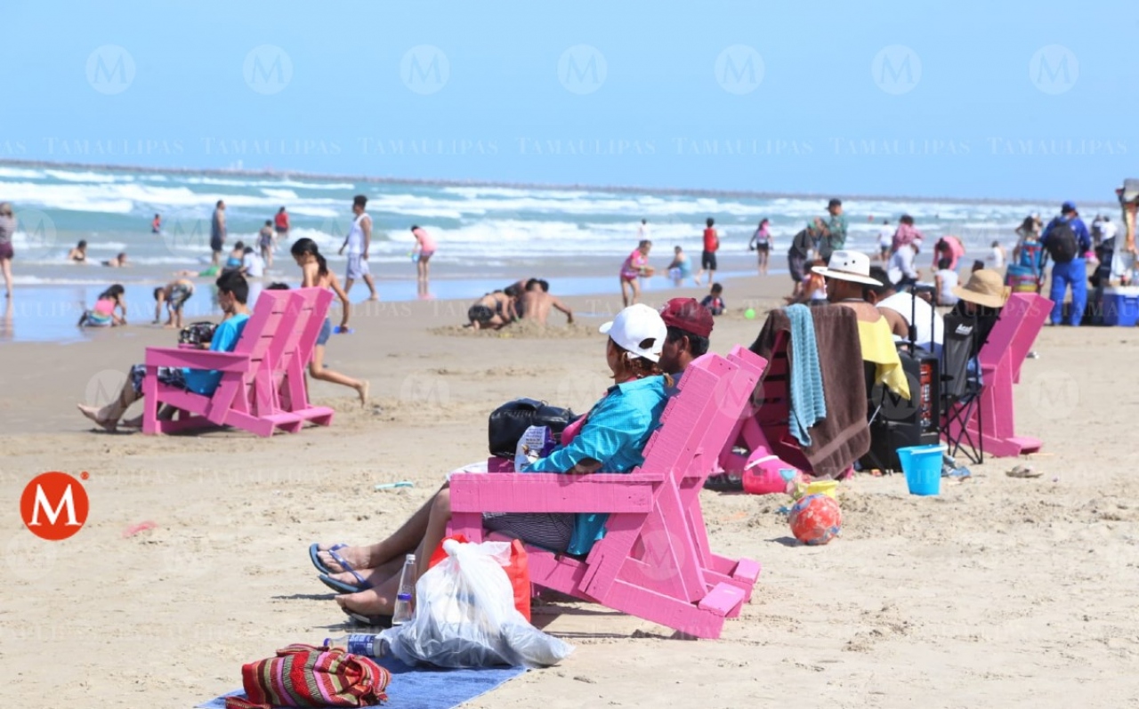 Miramar sobresale por su bosque energ&eacute;tico y variada naturaleza