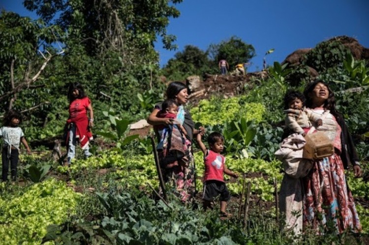 Pueblos originarios están abiertos a la actividad turística