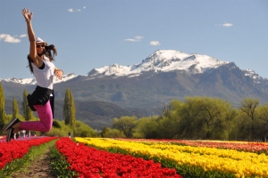 Esquel capacita profesionalmente a sus guías turísticos