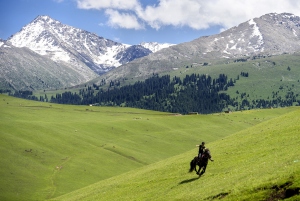 Una aldea asiática transformó su economía rural con lavanda y turismo comunitario
