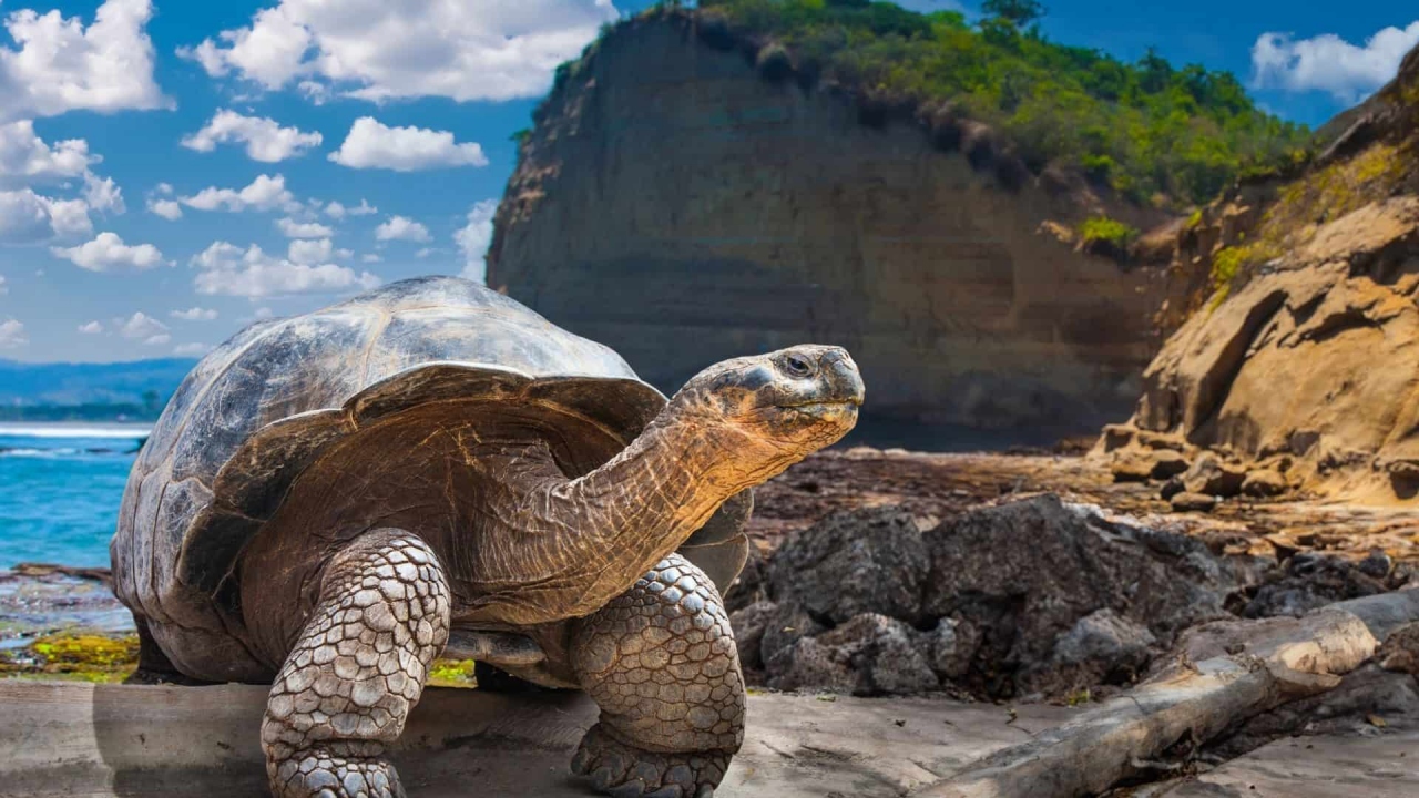 Conoc&eacute; los diez destinos l&iacute;deres en turismo sostenible