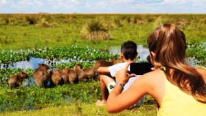 El parque nacional Iberá es el más concurrido de Argentina