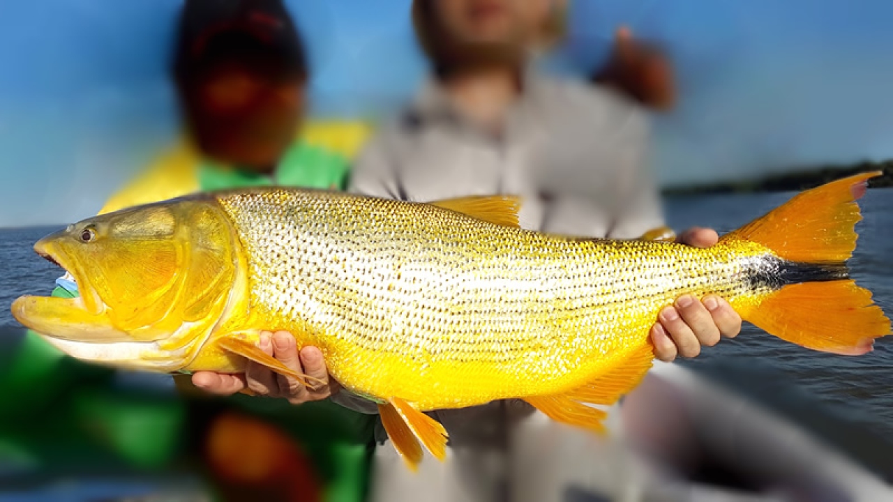 La pesca deportiva es un motor tur&iacute;stico santiague&ntilde;o