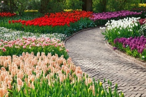 Los jardines terapéuticos de Singapur son un atractivo turístico innovador