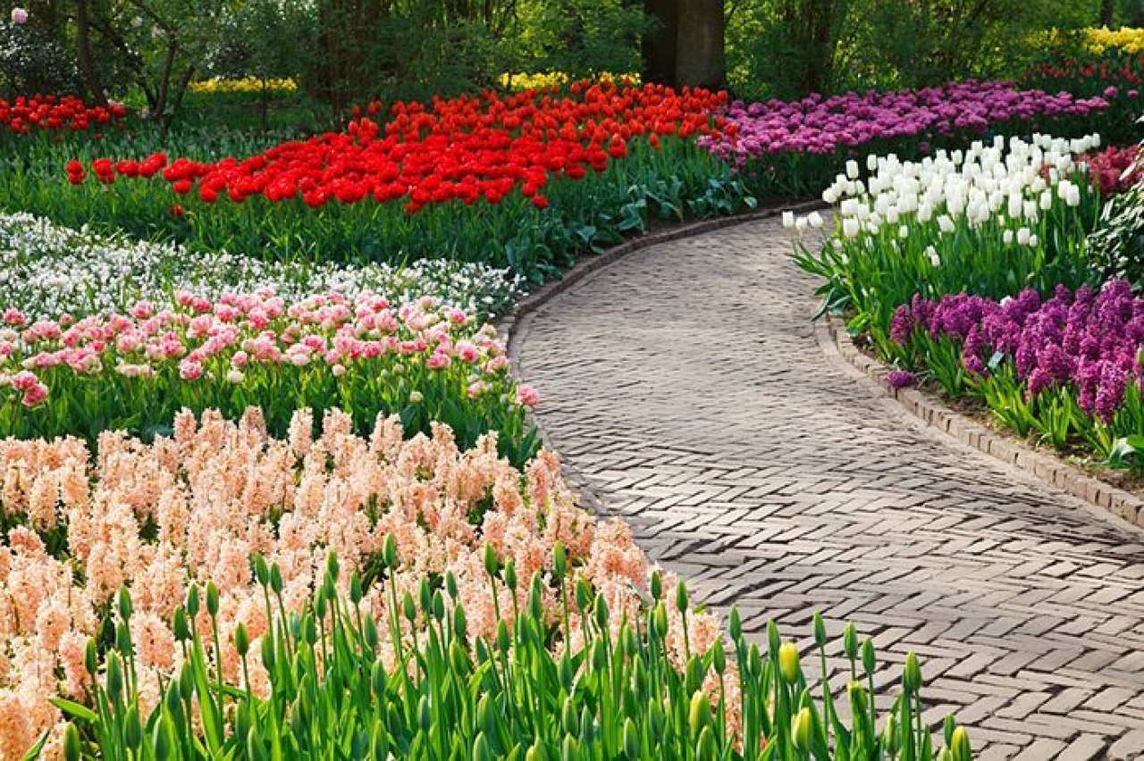 Los jardines terapéuticos de Singapur son un atractivo turístico innovador