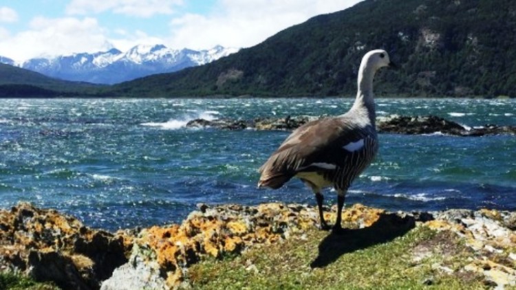 Tierra del Fuego se sumó al programa La Ruta Natural