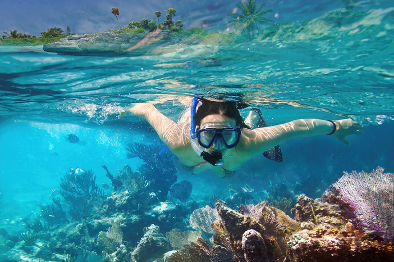 El turismo de buceo en Galápagos busca equilibrio entre conservación y desarrollo