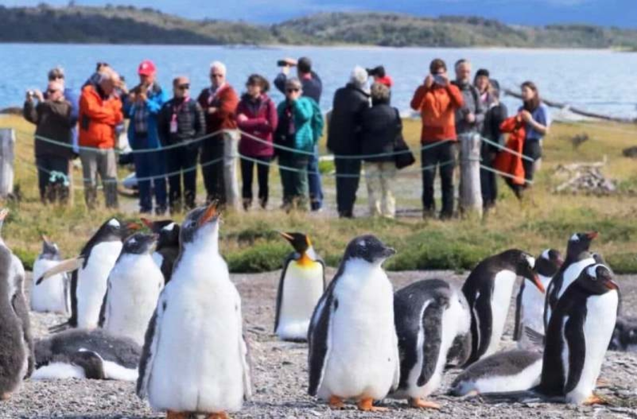 Ushuaia sumó más alojamientos turísticos