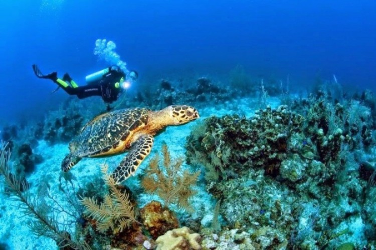 El gobierno anunció la ampliación de la reserva marina de Galápagos