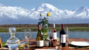 Mendoza tiene representantes para una competencia de enoturismo