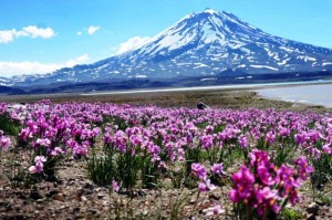 Laguna del Diamante asegura relax en medio de la naturaleza mendocina