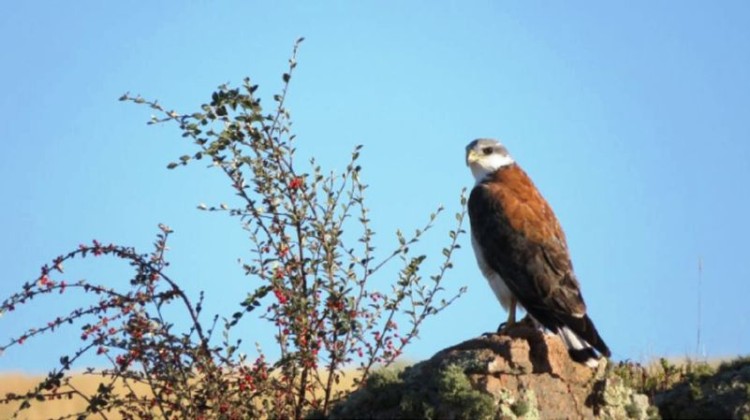 Argentina tiene una nueva área protegida que combina turismo de naturaleza y social