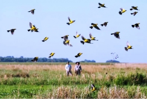 El 53% de los turistas argentinos son conscientes del impacto en comunidades y medioambiente