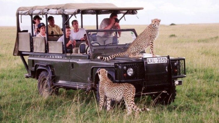 El turismo le generó 2.000 millones de euros a Kenia