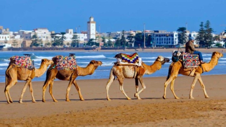 Marruecos lanzó un plan para captar turismo receptivo