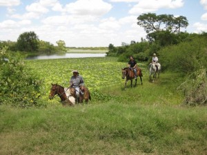 Santa Fe descubrió la fórmula para estar entre los 10 destinos más visitados del verano