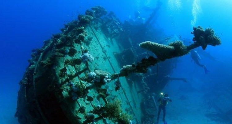 El Parque Submarino más grande del continente sumará una nueva atracción