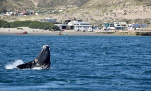 &quot;Chubut está preparada para recibir turistas en Semana Santa&quot;