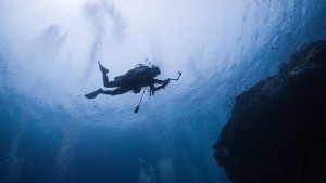 Puerto Madryn es un destino ideal para actividades subacuáticas