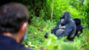 Diez destinos africanos que unen naturaleza, cultura e historia