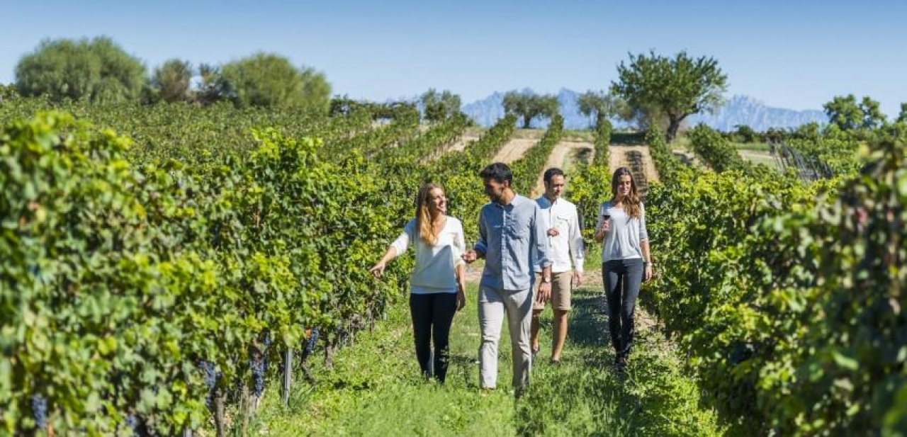 Mendoza recibirá a las Jornadas del Turismo del Vino