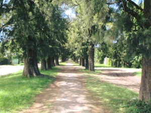 Manzanares es la escapada rural más cercana a Buenos Aires