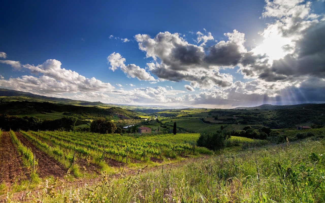 Grosseto se posicionó como referente del turismo sostenible europeo