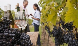 Argentina integra el Top-10 mundial del enoturismo