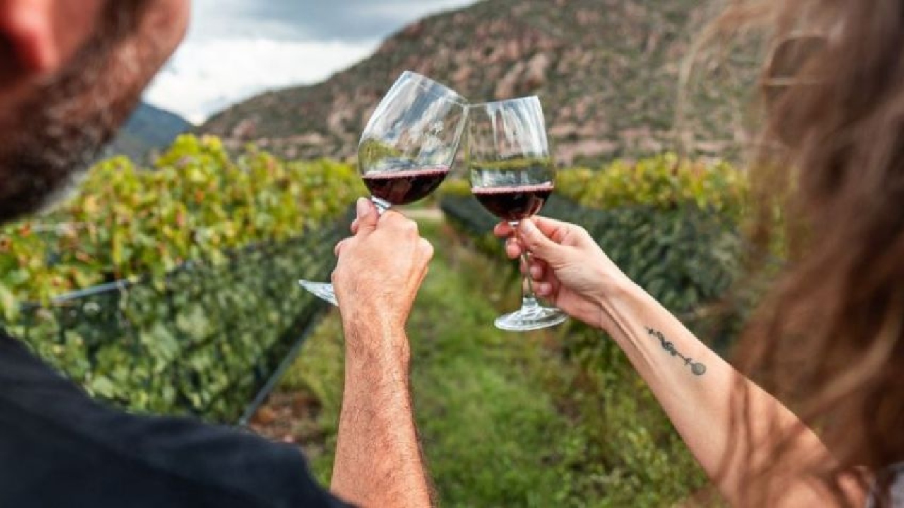 El enoturismo riojano se profesionaliza cada d&iacute;a m&aacute;s