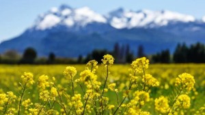 Estos son los ocho pueblos argentinos que competirán en Best Tourism Villages