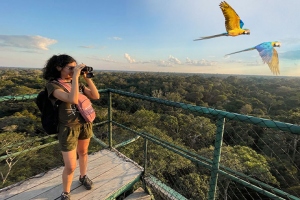 El turismo ornitológico creció con apoyo de la tecnología
