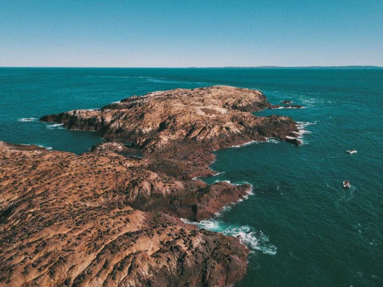 El Parque Patagonia Azul liderará la conservación marina argentina